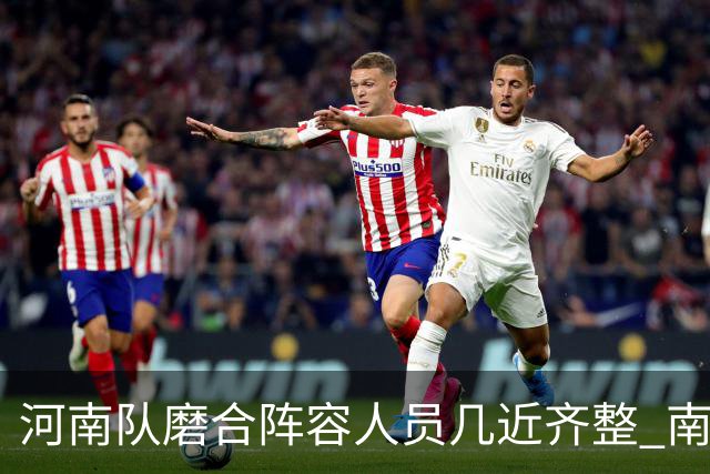 河南队磨合阵容人员几近齐整 南基一剑指中超前六